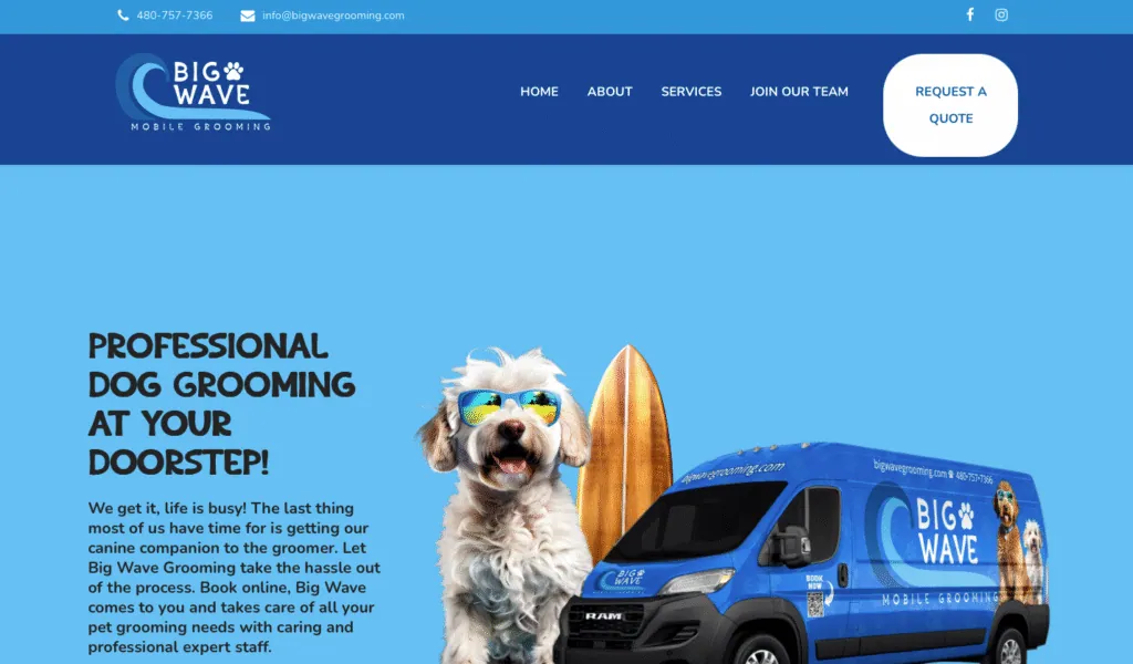 Big Wave Grooming website screenshot